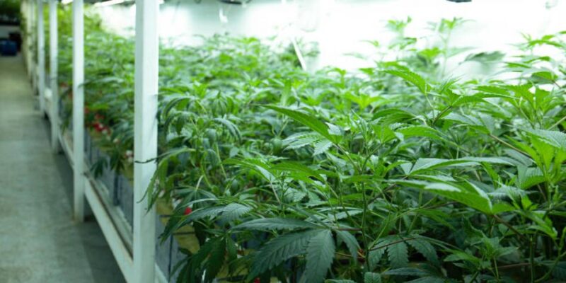 Tomada de Eltiempo.com