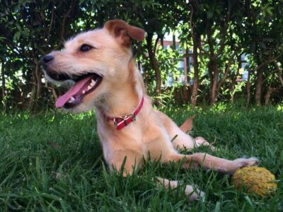 Tomada de Elespectador.com