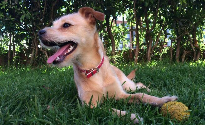 Tomada de Elespectador.com