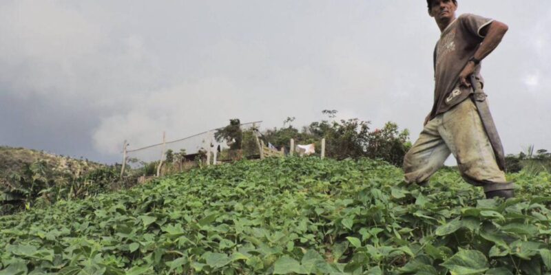 Tomda de CaracolRadio.com.co