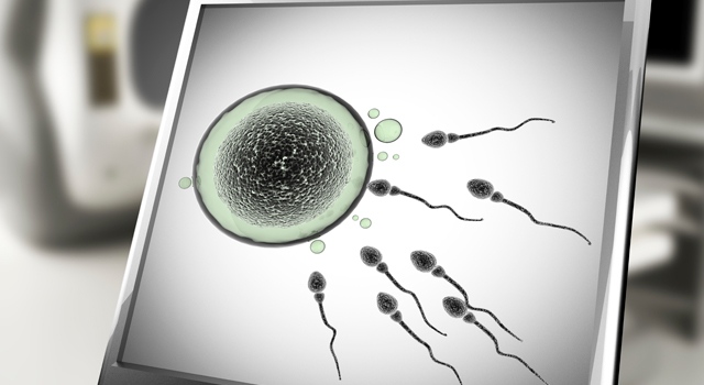 Tomada de compartirpalabramaestra.org