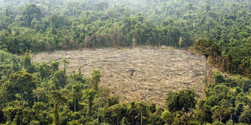 Tomada de Insight Crime