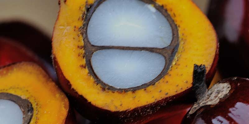 investincolombia.com.co