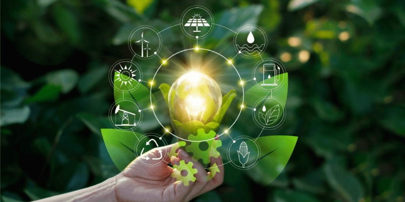 La tecnología en el medio ambiente