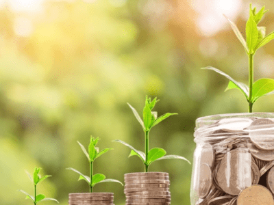 ¿Es el capitalismo enemigo de la sostenibilidad?