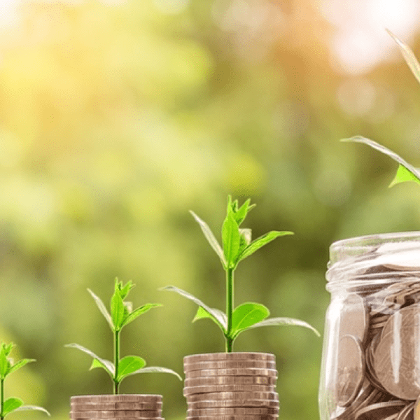 ¿Es el capitalismo enemigo de la sostenibilidad?