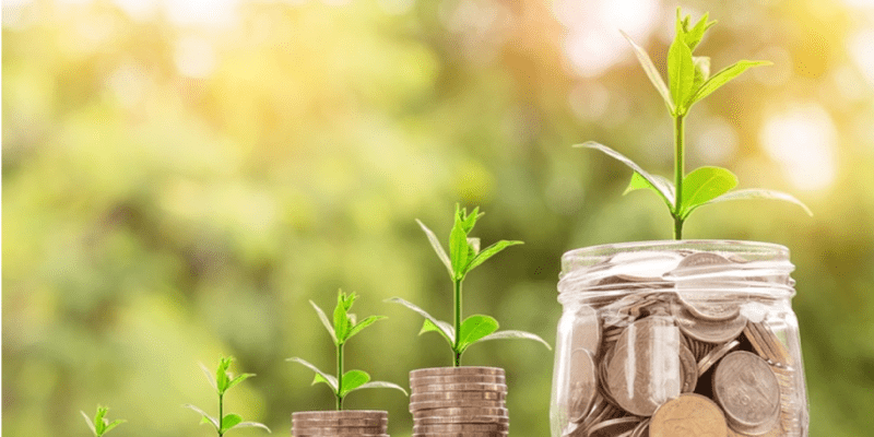 ¿Es el capitalismo enemigo de la sostenibilidad?