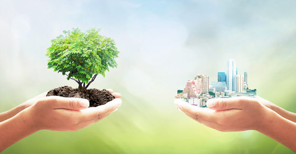 ¿Es el capitalismo enemigo de la sostenibilidad?