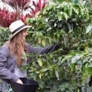 Descubre Jardín, Antioquia: El ‘País de la Belleza’ en su máxima expresión