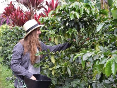 Descubre Jardín, Antioquia: El ‘País de la Belleza’ en su máxima expresión